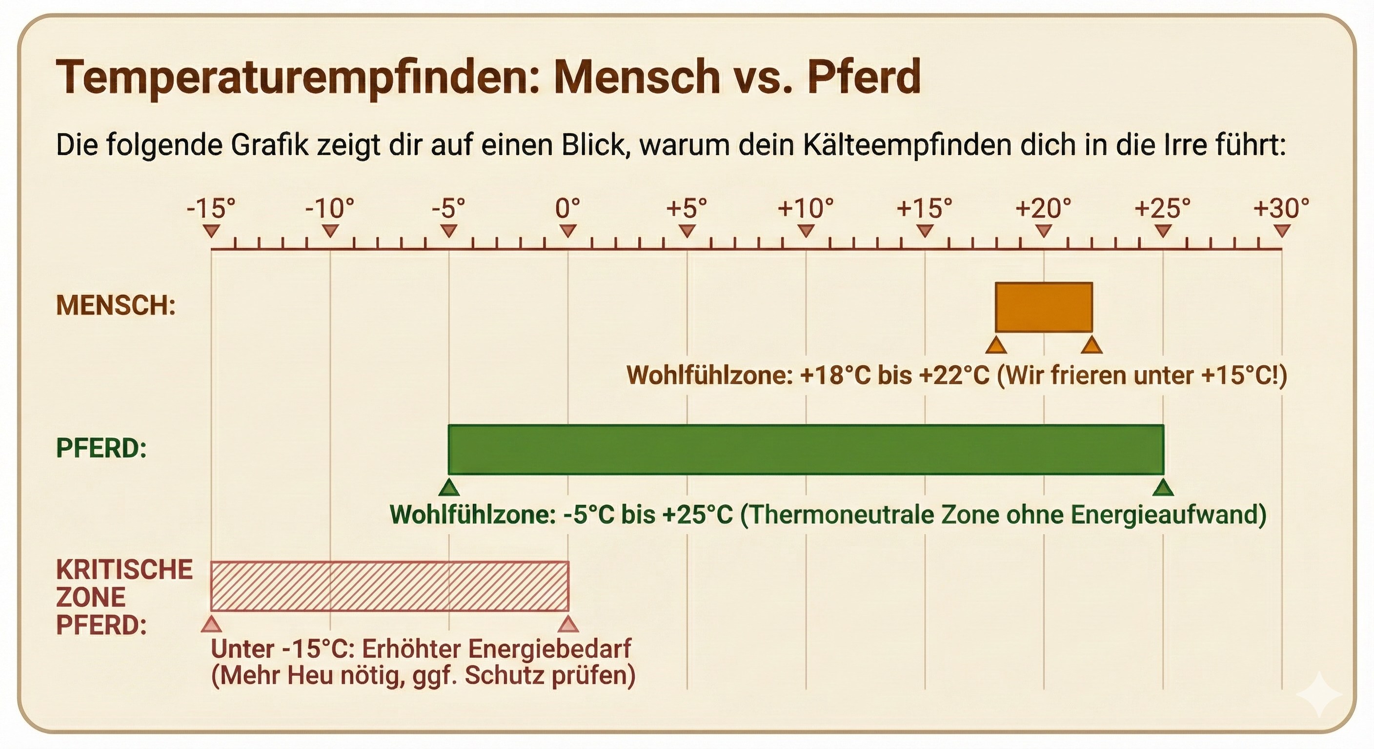 Temperaturvergleich: Wohlfühlzone Mensch vs. Pferd - Infografik zeigt thermoneutrale Zone des Pferdes zwischen -5°C und +25°C